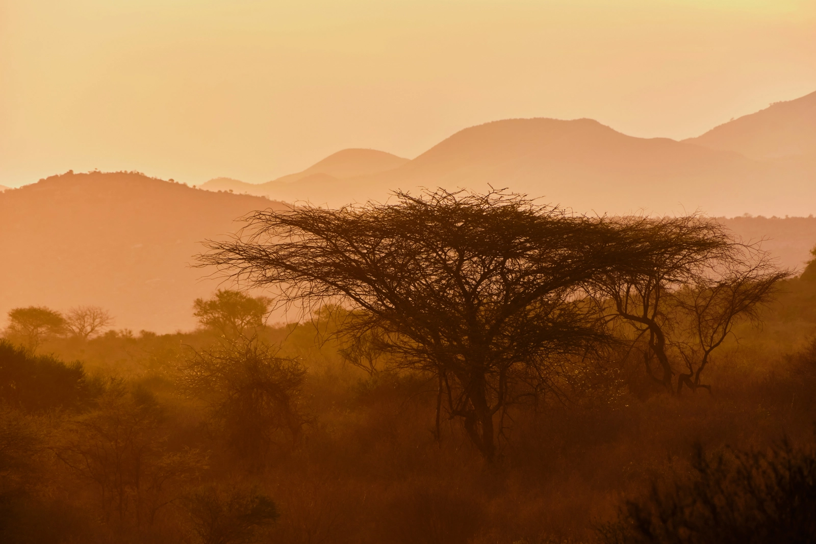 Africa Climate Week 2025 events Climate High-Level Champions