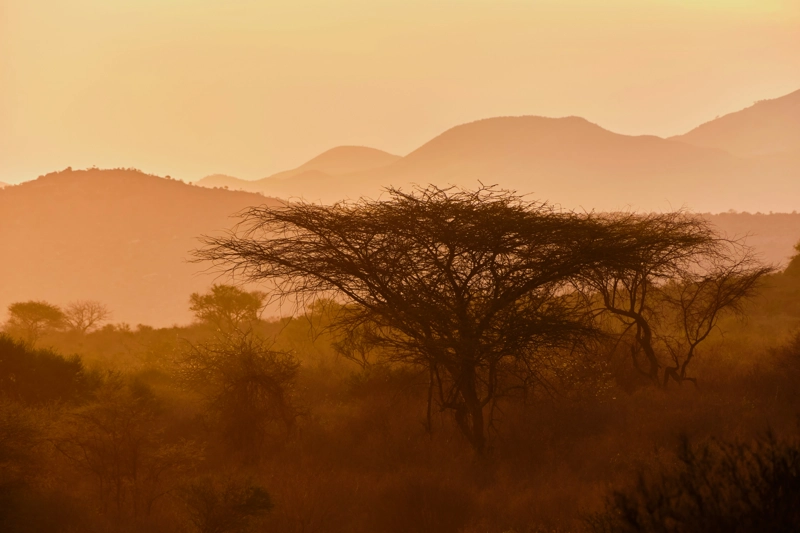 Africa Climate Week 2025 events Climate High-Level Champions