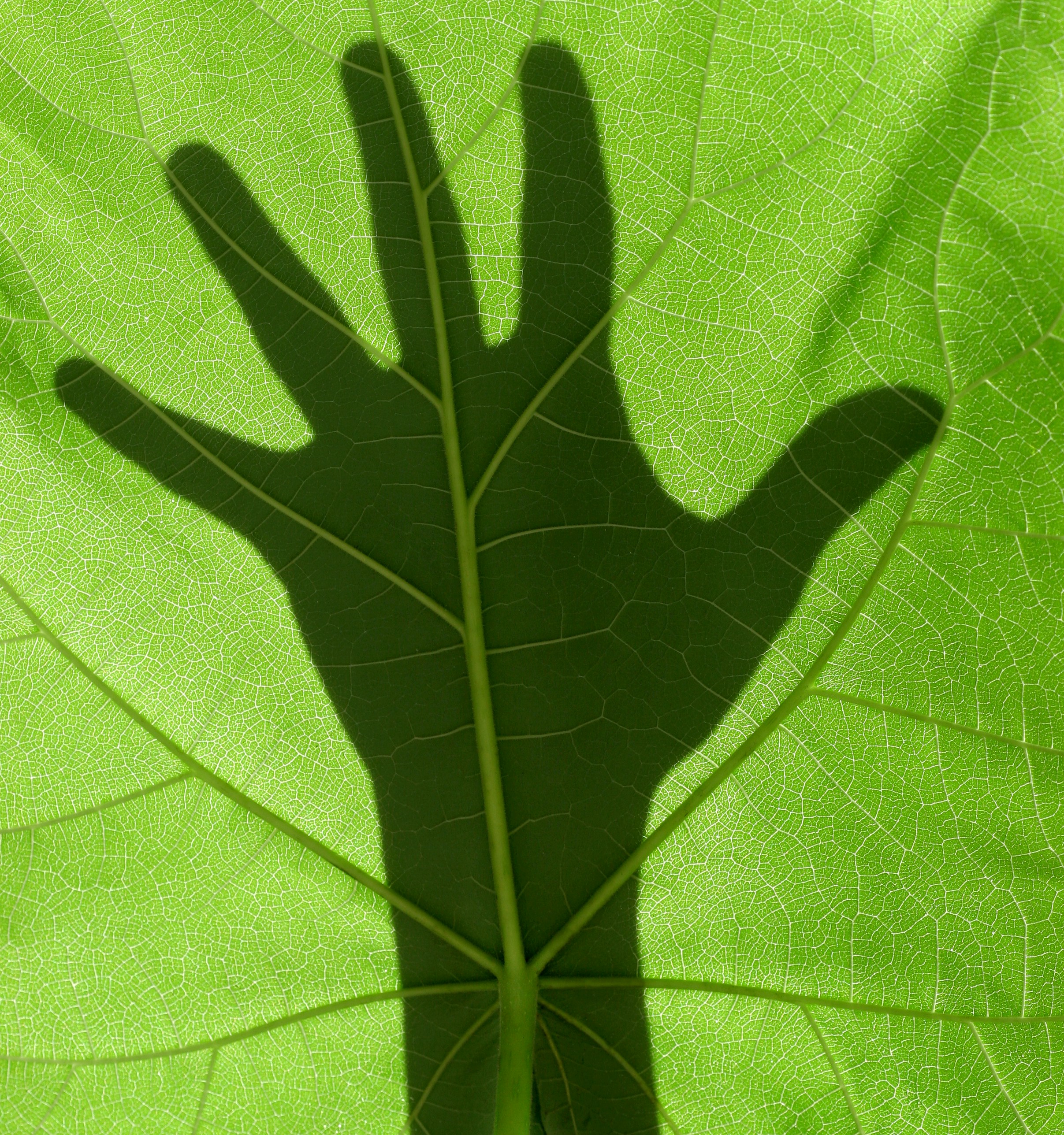 5. Fostering Human & Social Development
