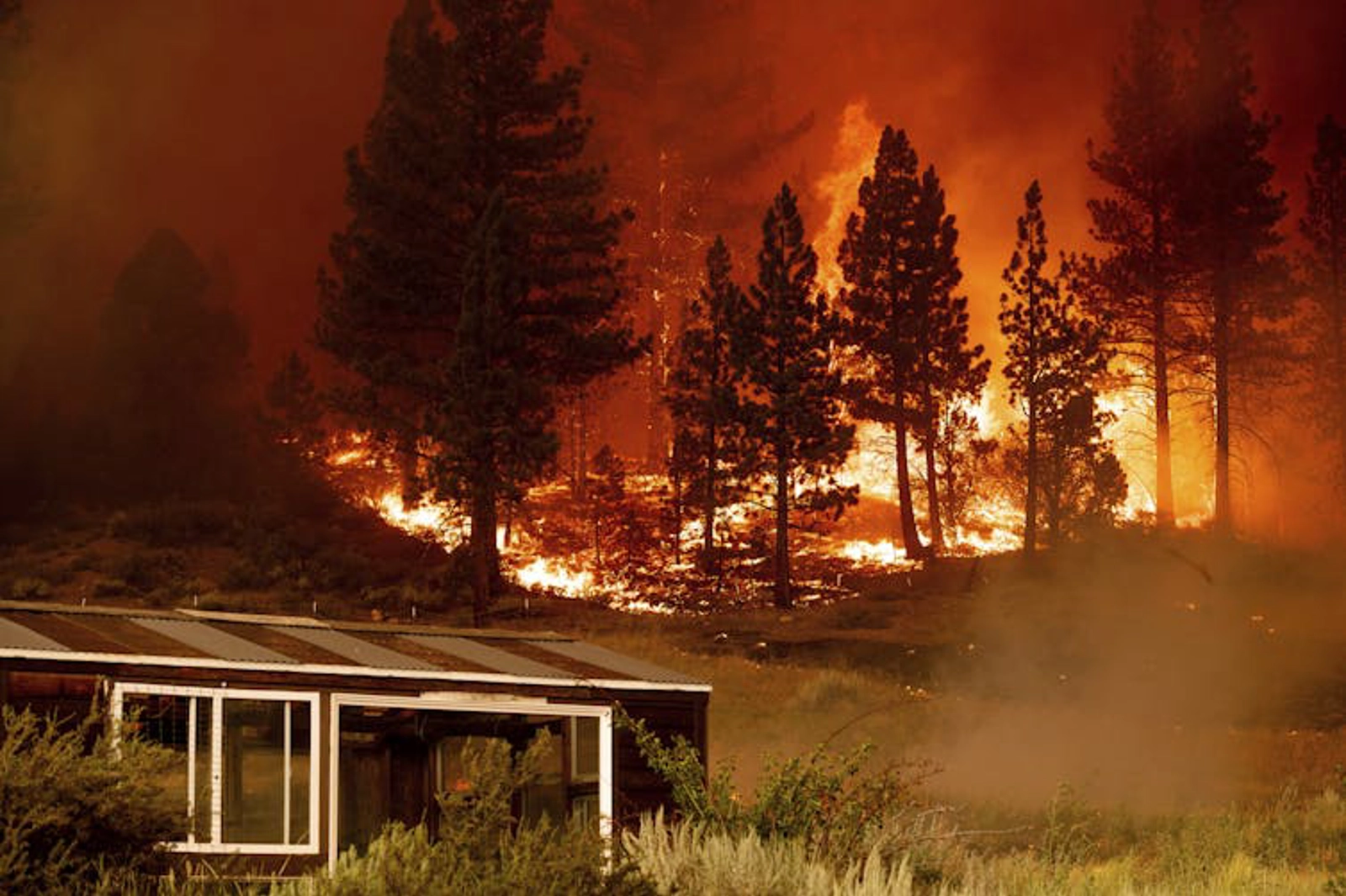 The Tamarack Fire spread through dry forest and grass near Lake Tahoe on July 17, 2021.