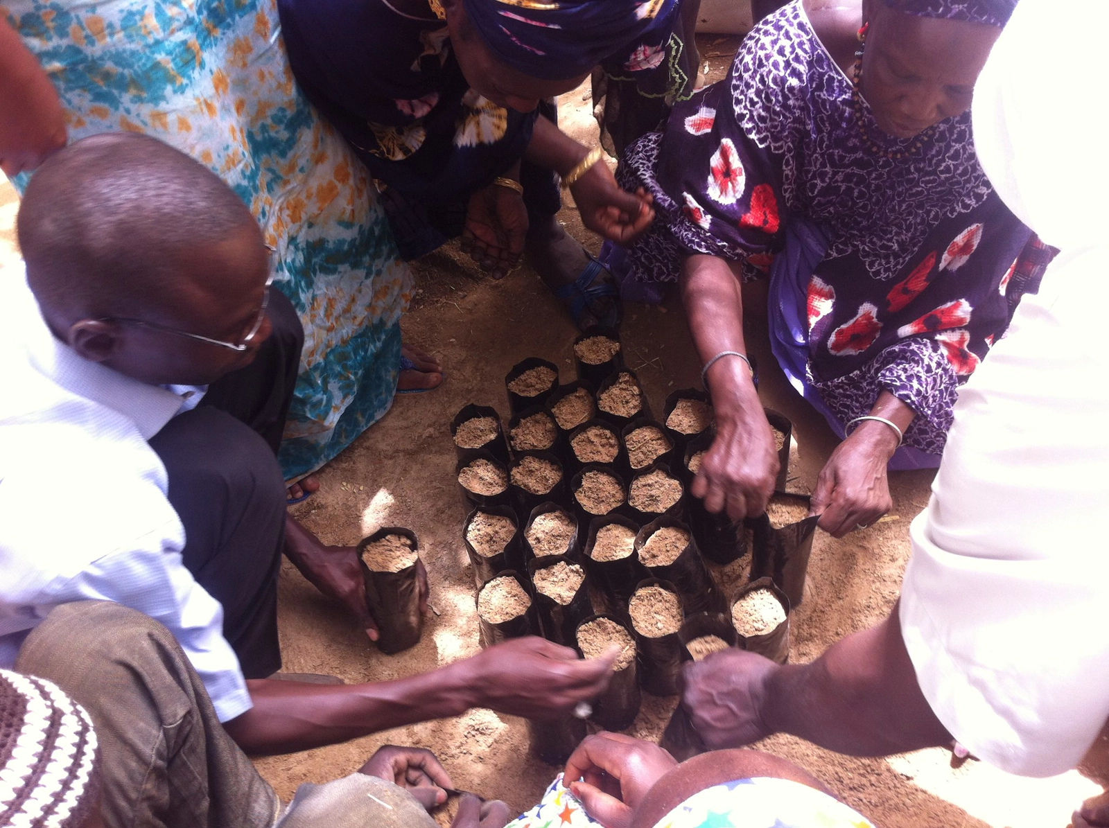 Agroforestry course, Senegal. Image: CIFAL Scotland.