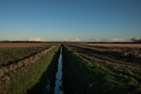 UK farmer transforms farming with fewer chemicals and healthier soils