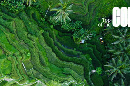Top of the COP: Scaling Up Food Systems Transformation and Land Restoration at COP 30