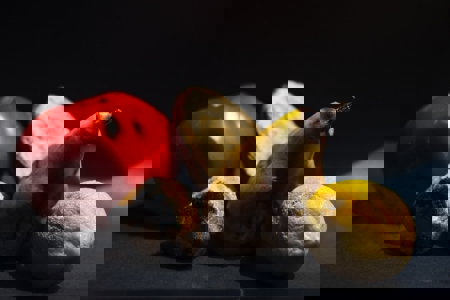 We throw away a third of the food we grow – here’s what to do about waste