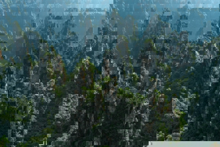 The Action Agenda in 2026: Still Running, Still Building