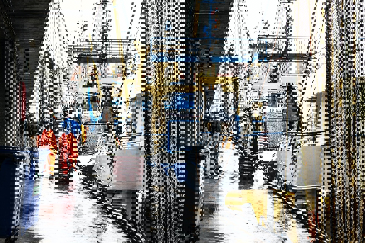 How the world’s largest seafood companies can help tackle climate change