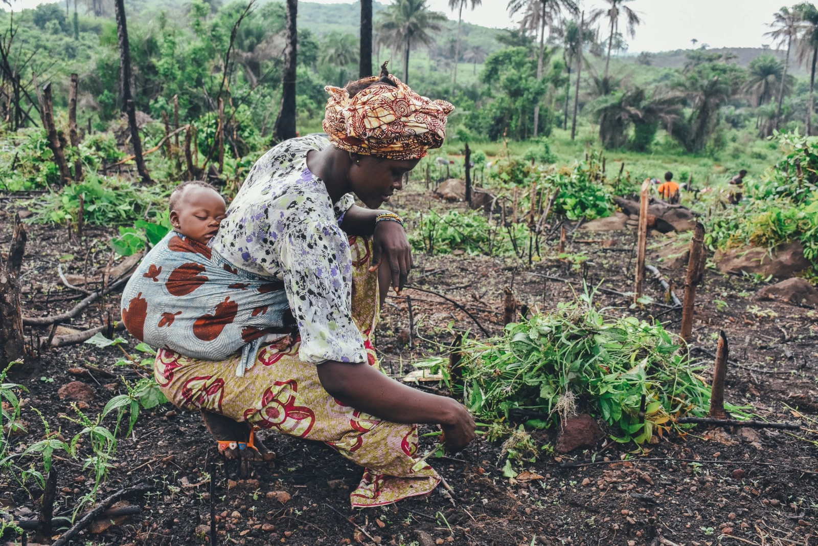 Women are involved in the production of ~70% of Africa’s food. Image: Photo by Annie Spratt on Unsplash