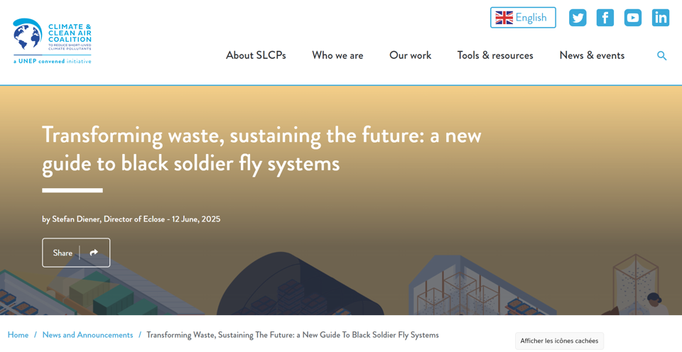 Transforming Organic Waste with Black Soldier Flies