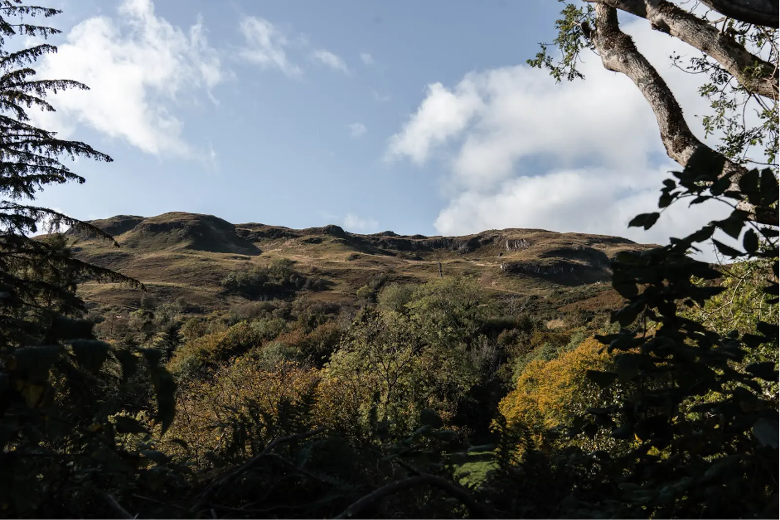 KMT is on a mission to restore the estate to resemble wild Scotland. Photo Credit: Adam Moore