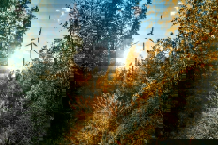 The businesses and cities putting energy at the heart of their Race to Zero