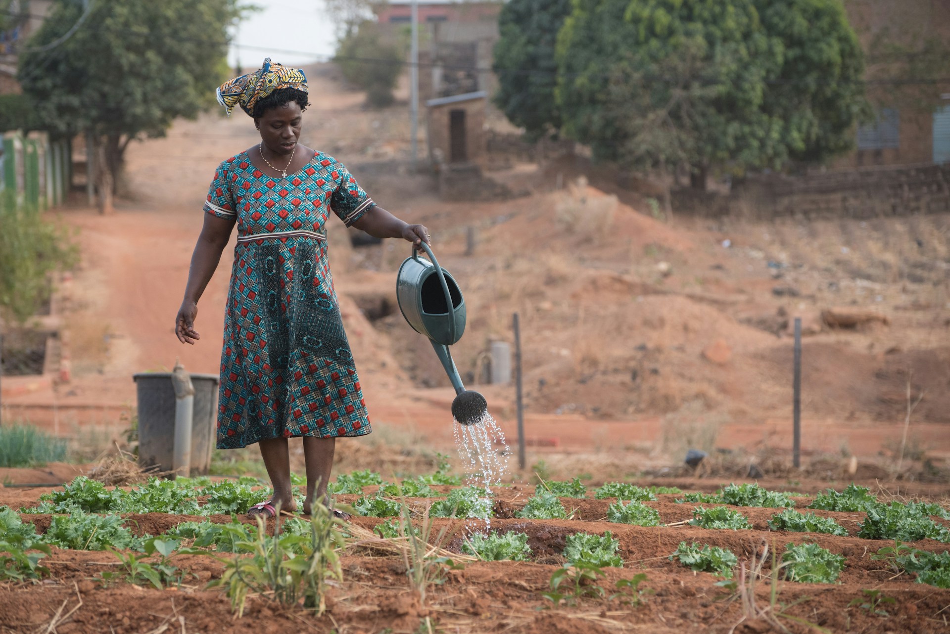 The Malawi Red Cross Society distributes anticipatory cash ahead of Tropical Cyclone Jude