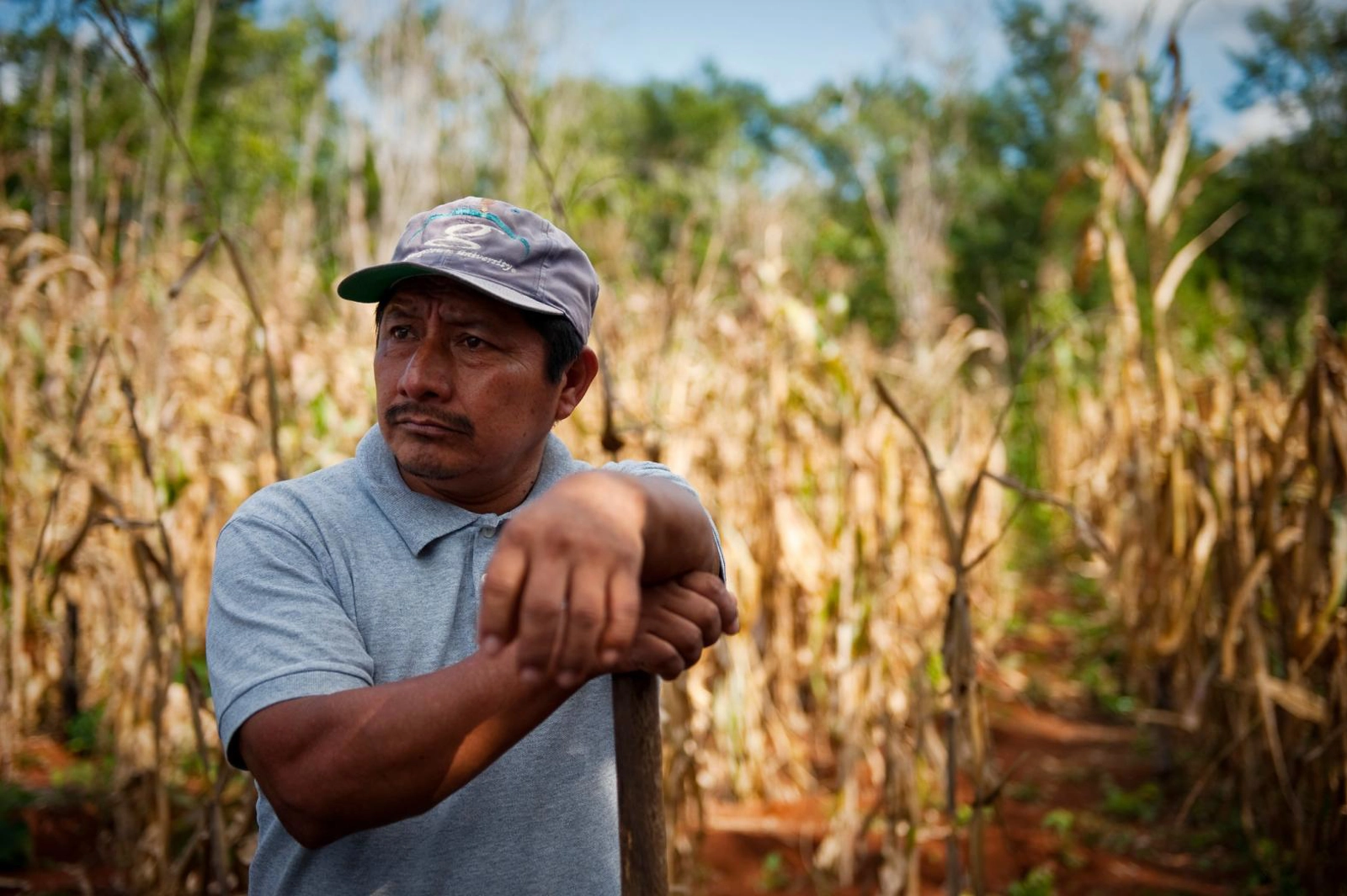 Increasingly unpredictable weather and higher temperatures are making it more difficult for farmers in Tabi, Mexico, to grow food. Communities most vulnerable to the impacts of climate change are oftentimes least responsible for causing the problem. Photo by Ainhoa Goma/Oxfam