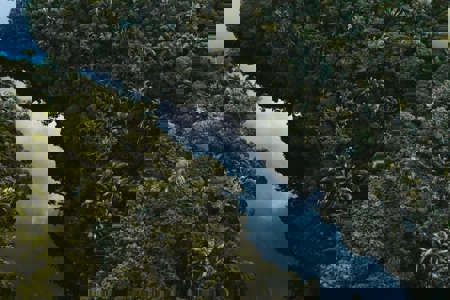 Ahead of COP30, Brazil sets the tone to boost fast, focused climate action