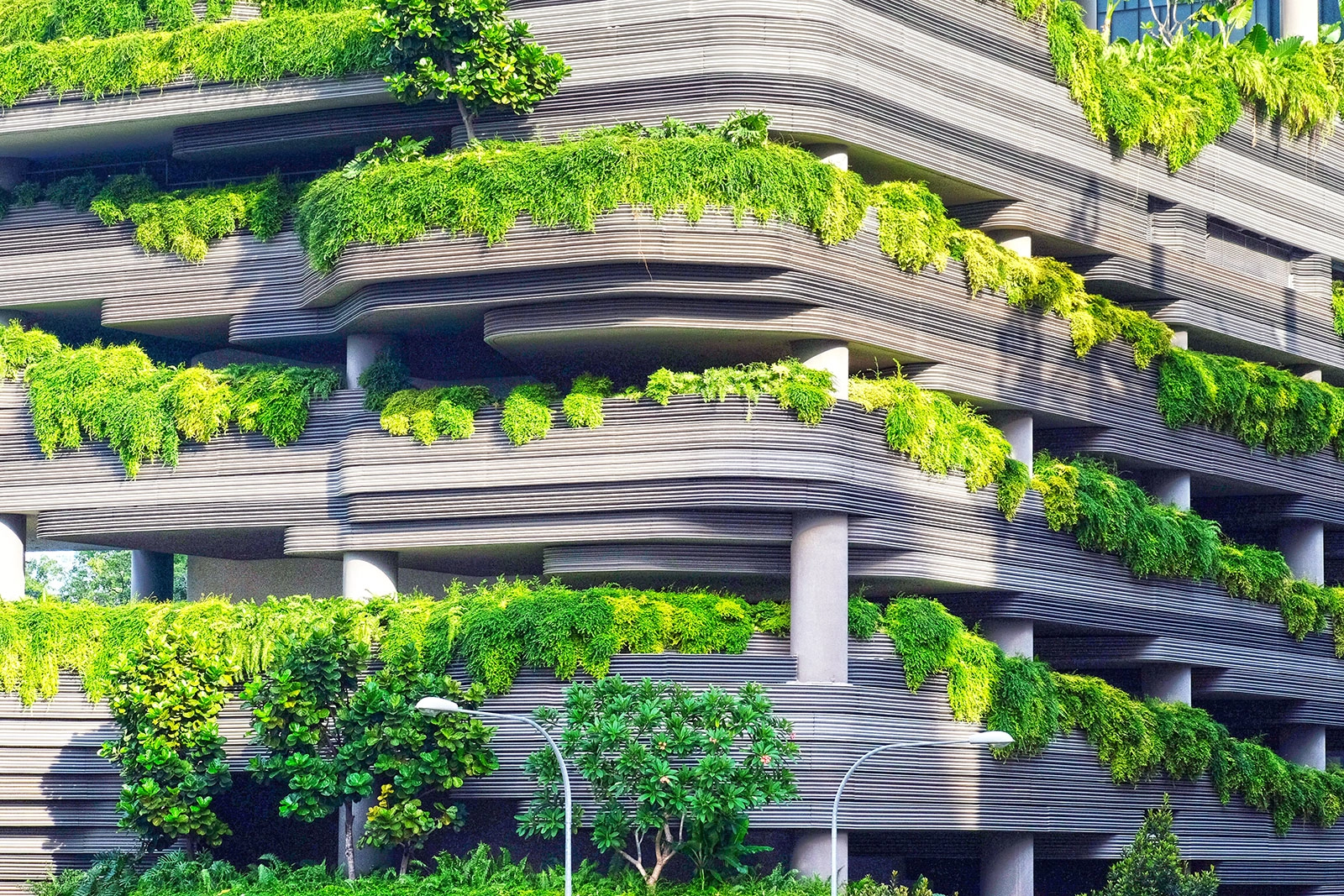Fom tree planting to zero carbon building design &#8211; the job opportunites are vast. Image: Unplash.