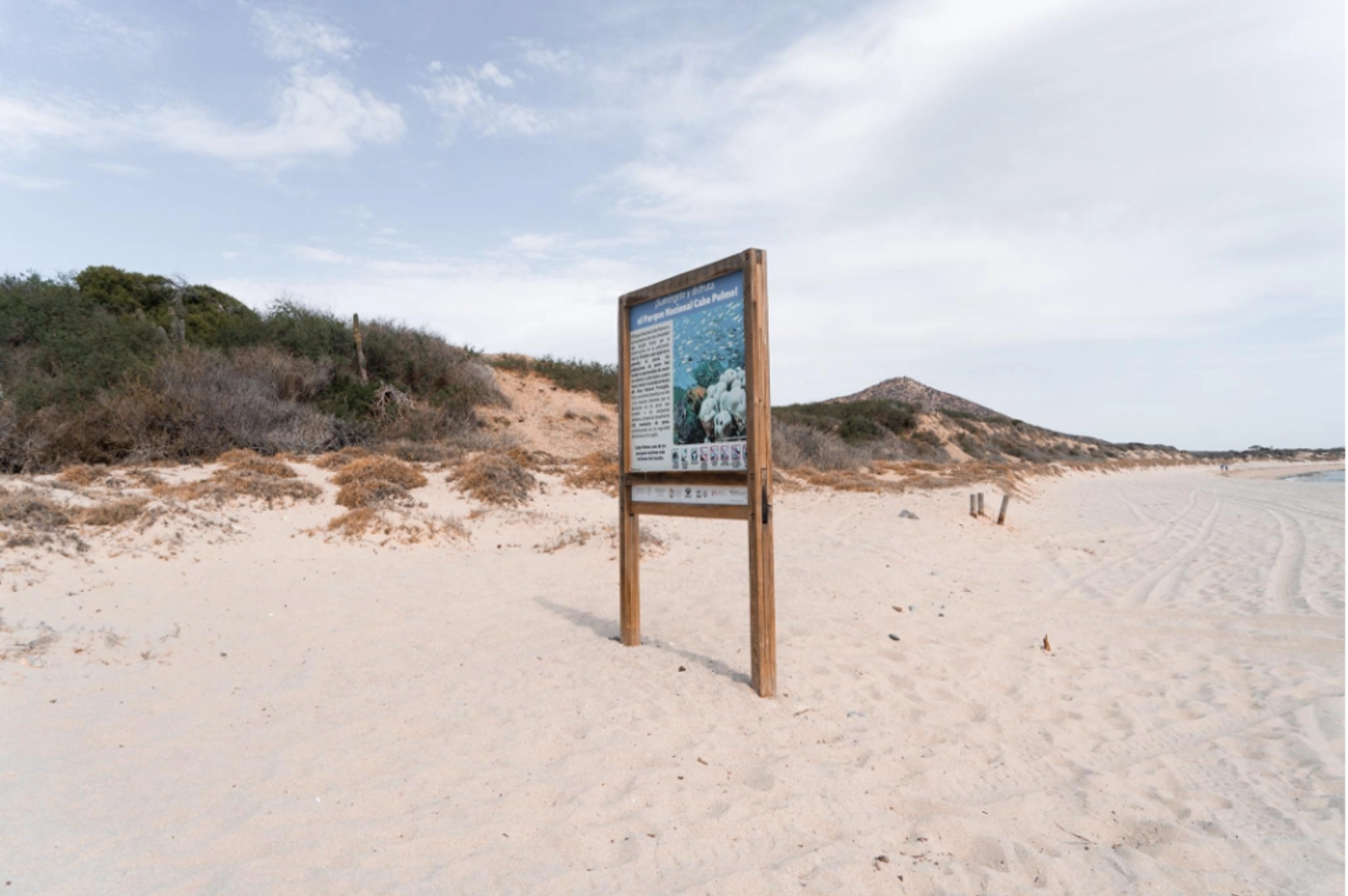 The start of Cabo Pulmo National Park. Photo Credit: Marla Tomoru