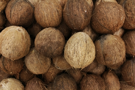 Revitalizing the coconut market and restoring land in Guyana