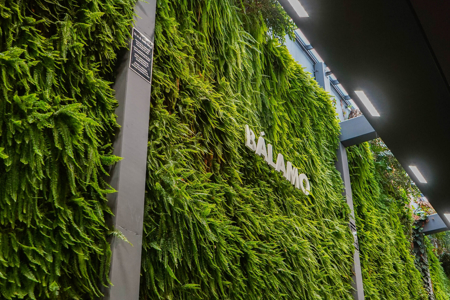 Blending culinary excellence with sustainability is not just possible – it’s profitable: Bálamo’s story 