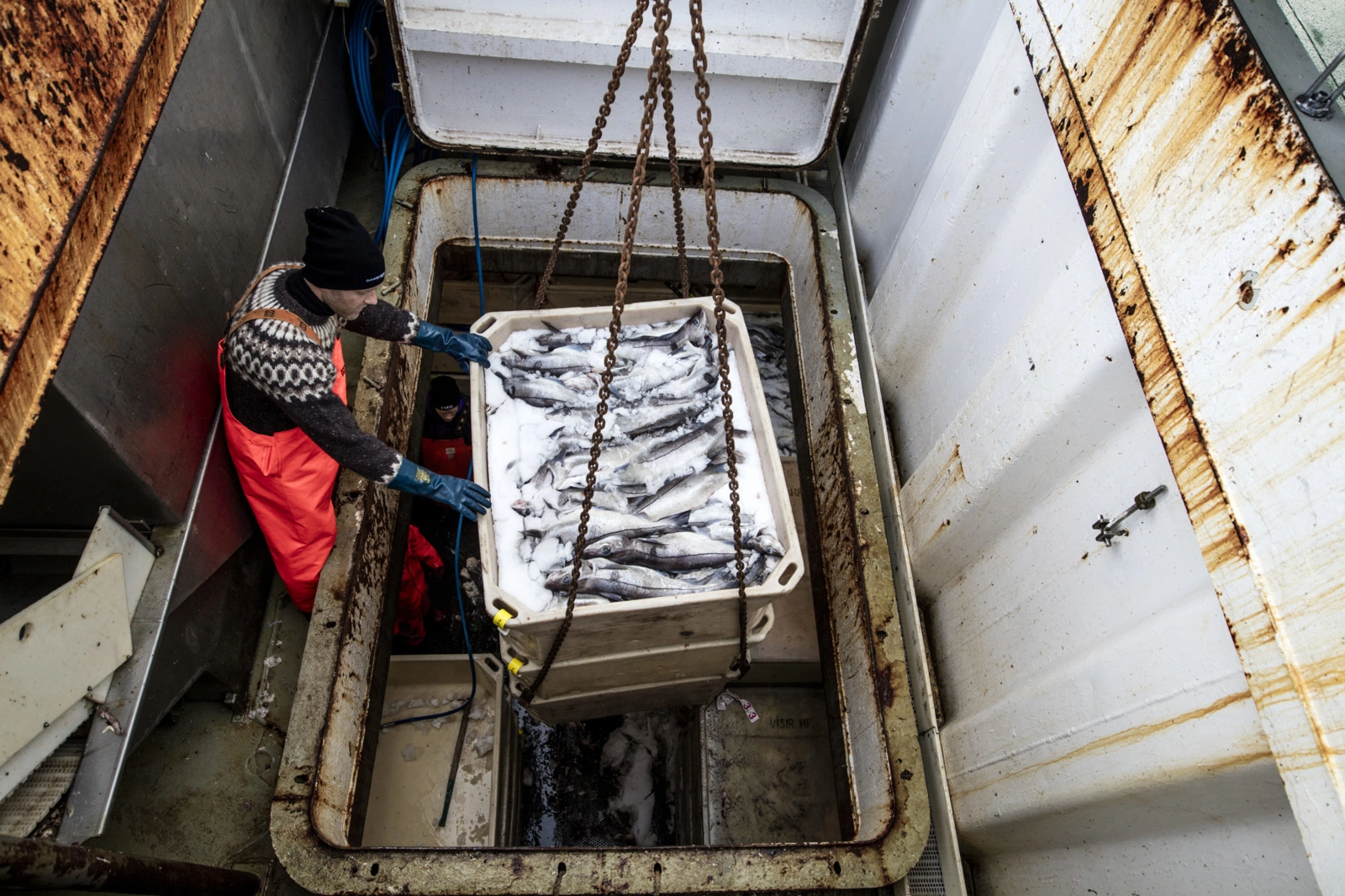 Visir crew offloading cod, ling and haddock after returning from four days at sea. Grindavik, Iceland. Image: James Morgan/MSC.