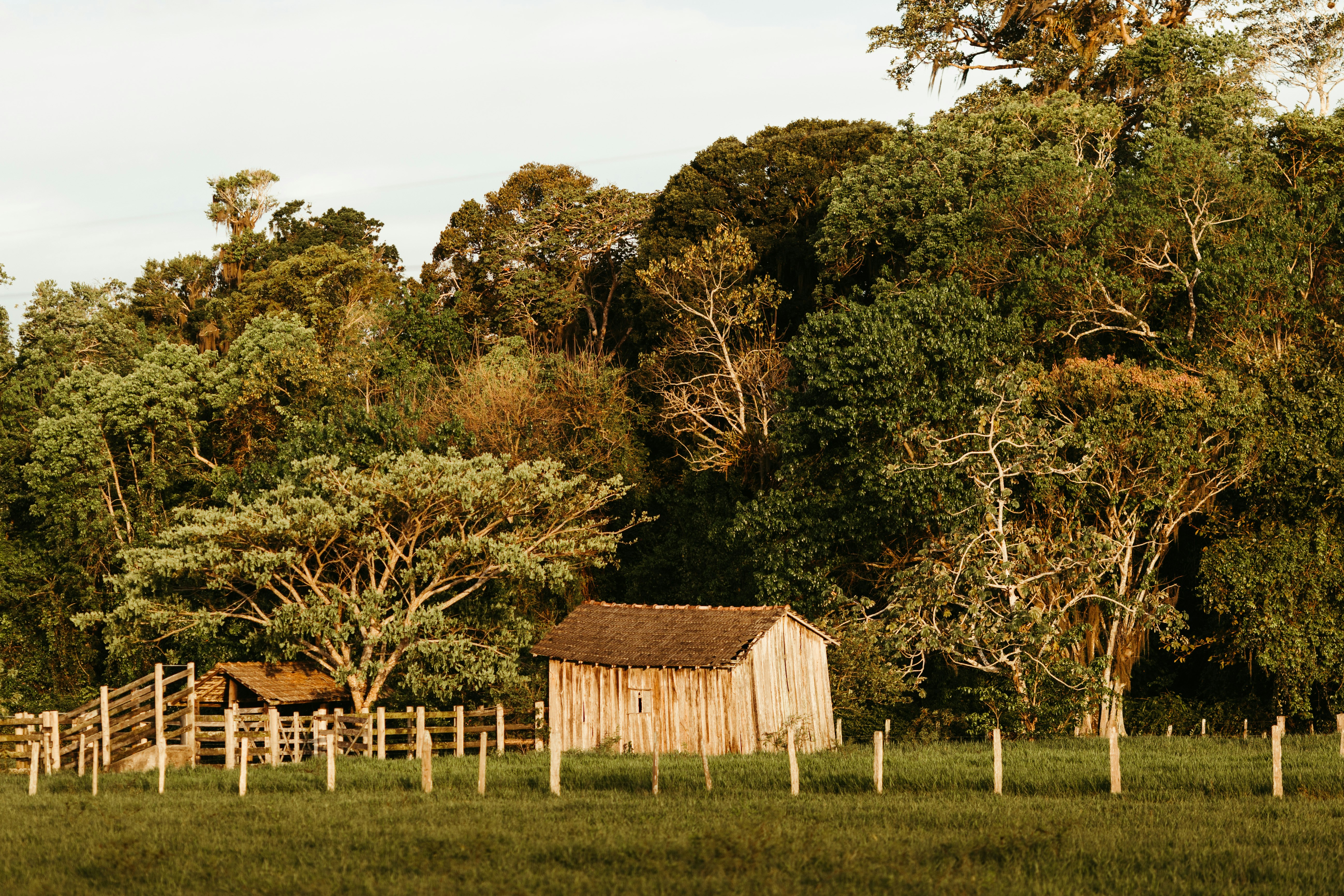 Smallholder management of agrobiodiversity in Northern Tanzania