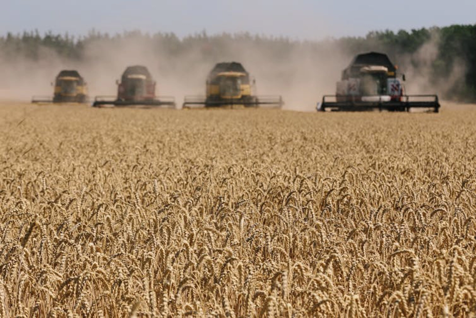 Harvesting wheat in 2017 in Ukraine’s Kharkiv region. Russian attacks have inflicted heavy damage in and around the city of Kharkiv. Pavlo Pakhomenko/NurPhoto via Getty Images