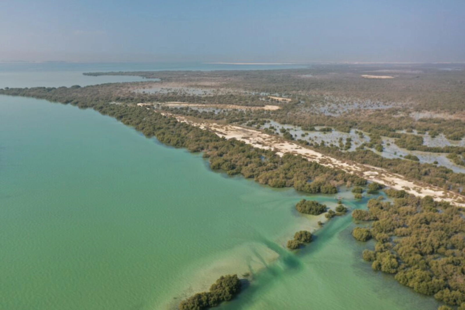 Khor Faridah. ©-Daniel Mateos Molina — ENWWF.