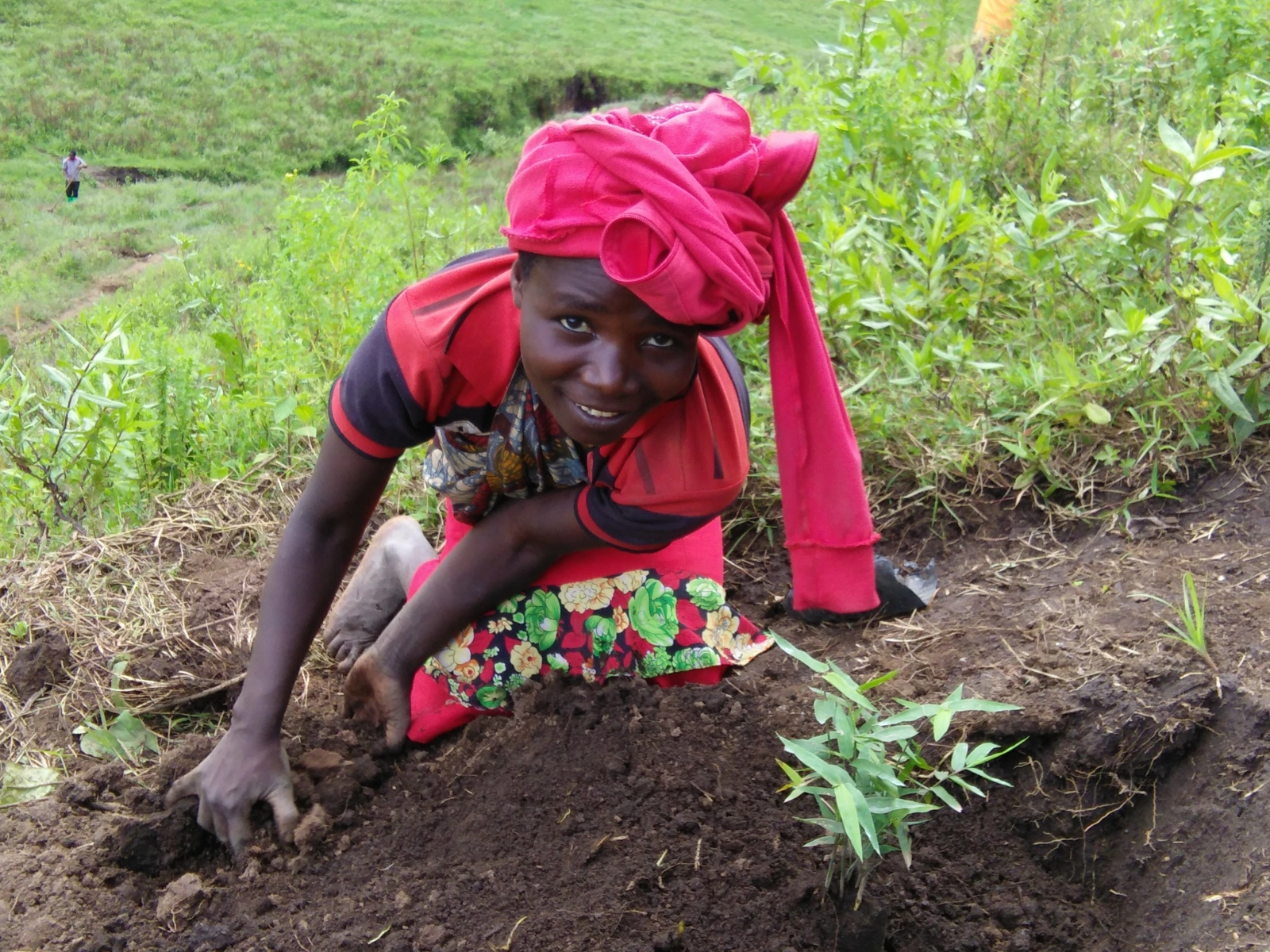 Bamboo planting on degraded lands in Tanzania. Credit: Hans Friederich.