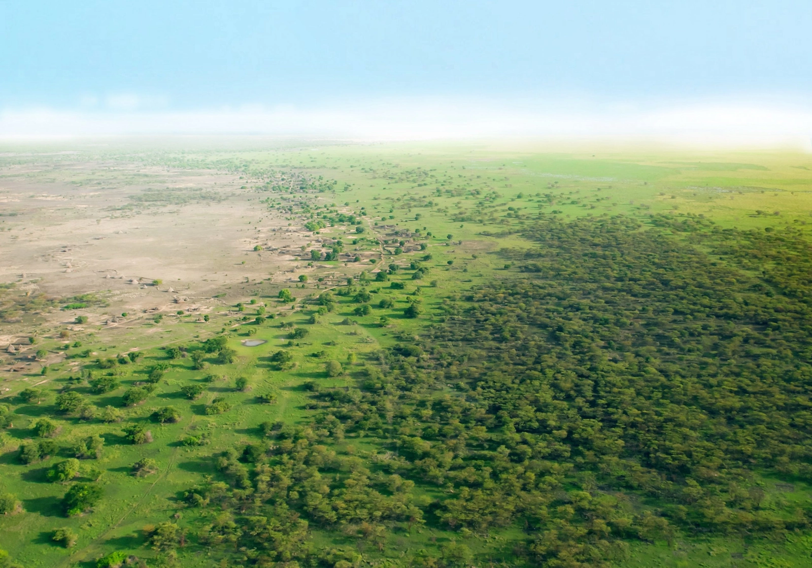 Africa’s Great Green Wall project aims to sequester 250 million tonnes of carbon by 2030. Image: Great Green Wall.