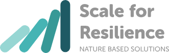 Scale for Resilience