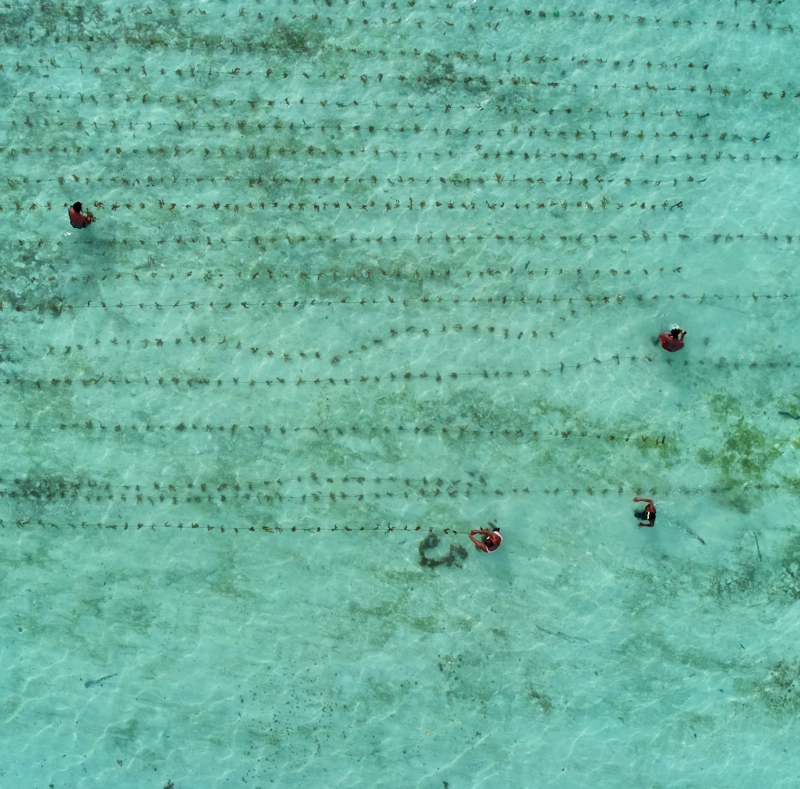 Truly Global A Regional Outlook on the 2030 Climate Solutions 