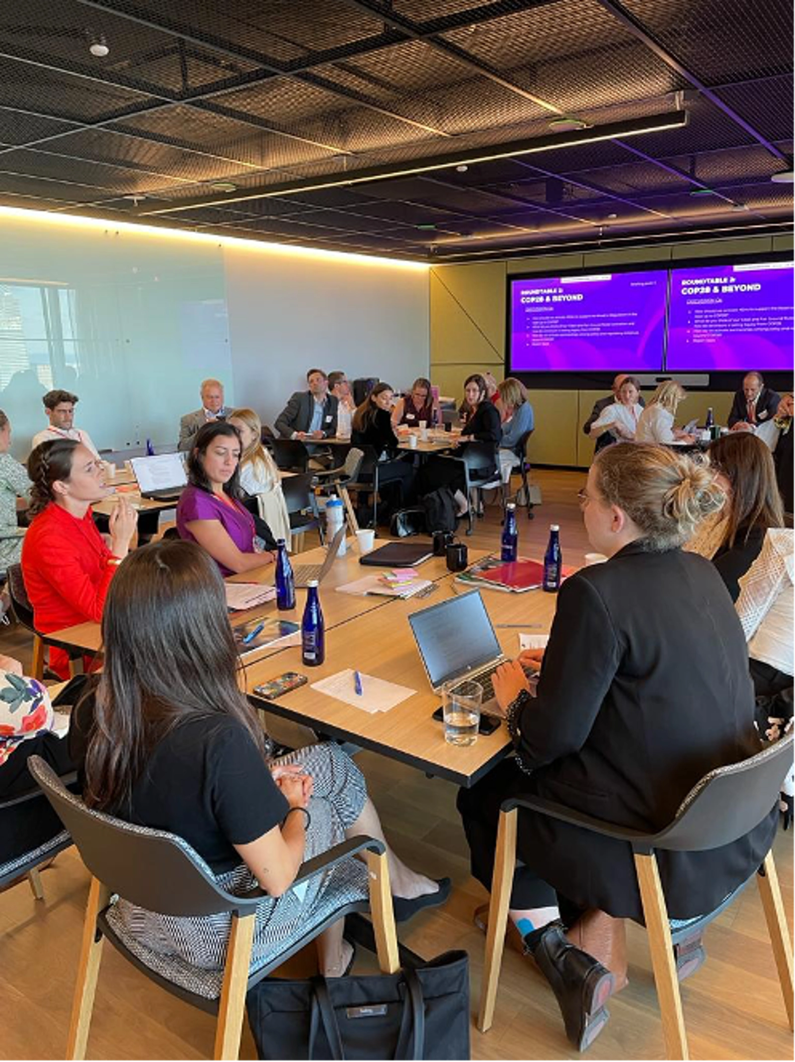 Race to Zero and Oxford Net Zero ran a Roundtable on ‘The Road to Regulation’