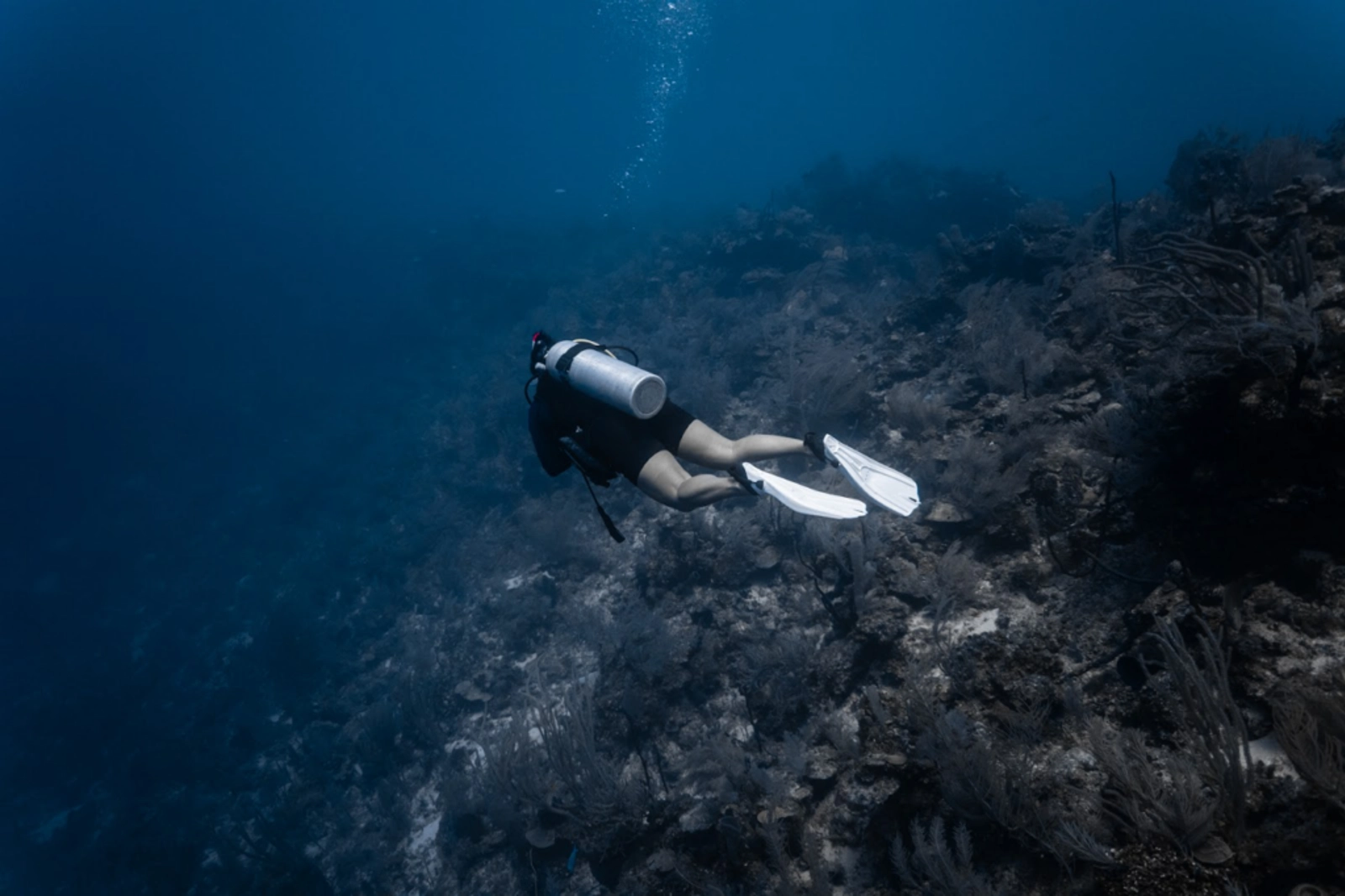 Tara taking the Edges of Earth expedition team diving. Photo Credit: Marla Tomorug