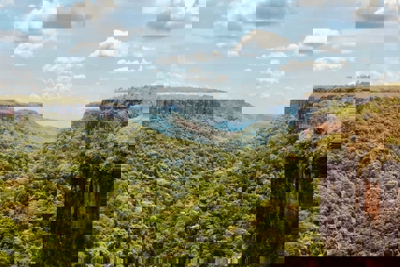 JGP: Eliminating commodity-driven deforestation through active ownership, creative financing, and nature restoration