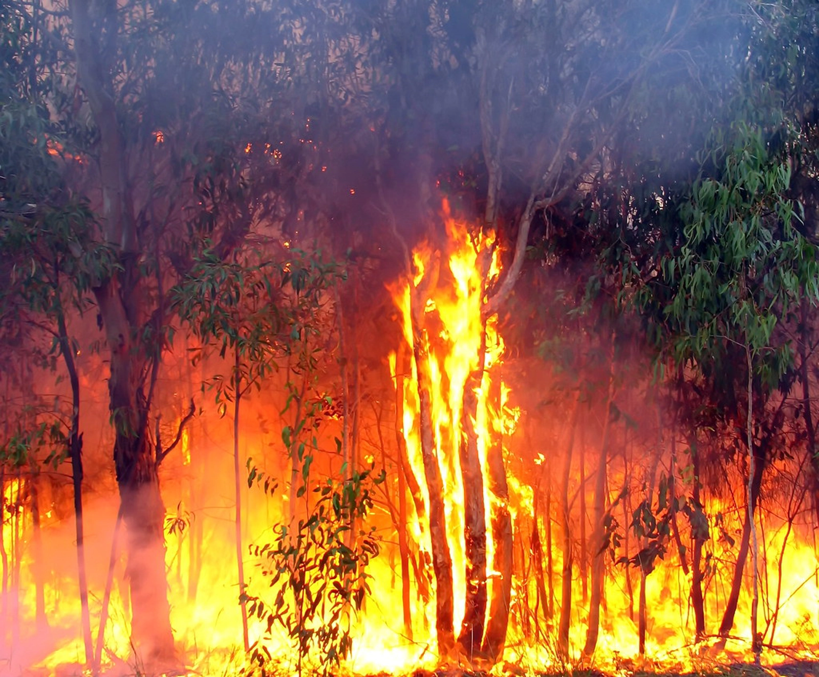 Australia is now facing a fire season that starts earlier and ends later.