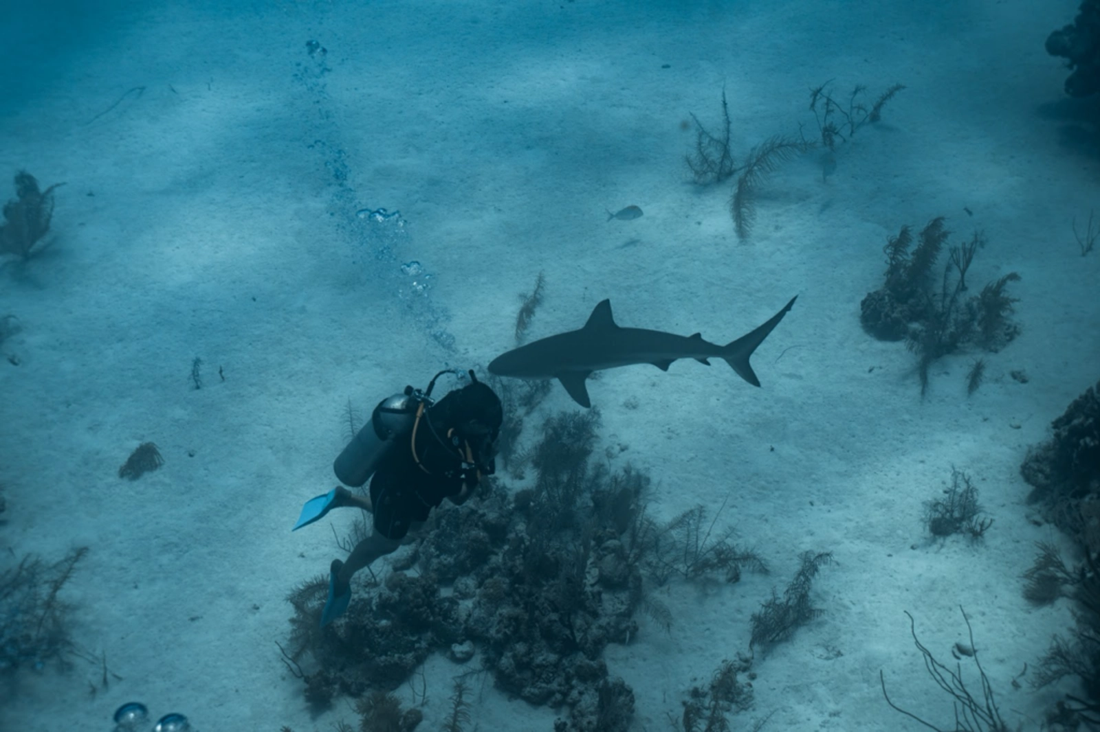Tara got an early start in a career involving the ocean. Photo Credit: Marla Tomorug