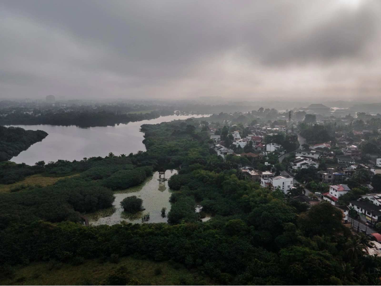 View of Sri Lanka’s urban wetlands. Photo Credit: Marla Tomorug