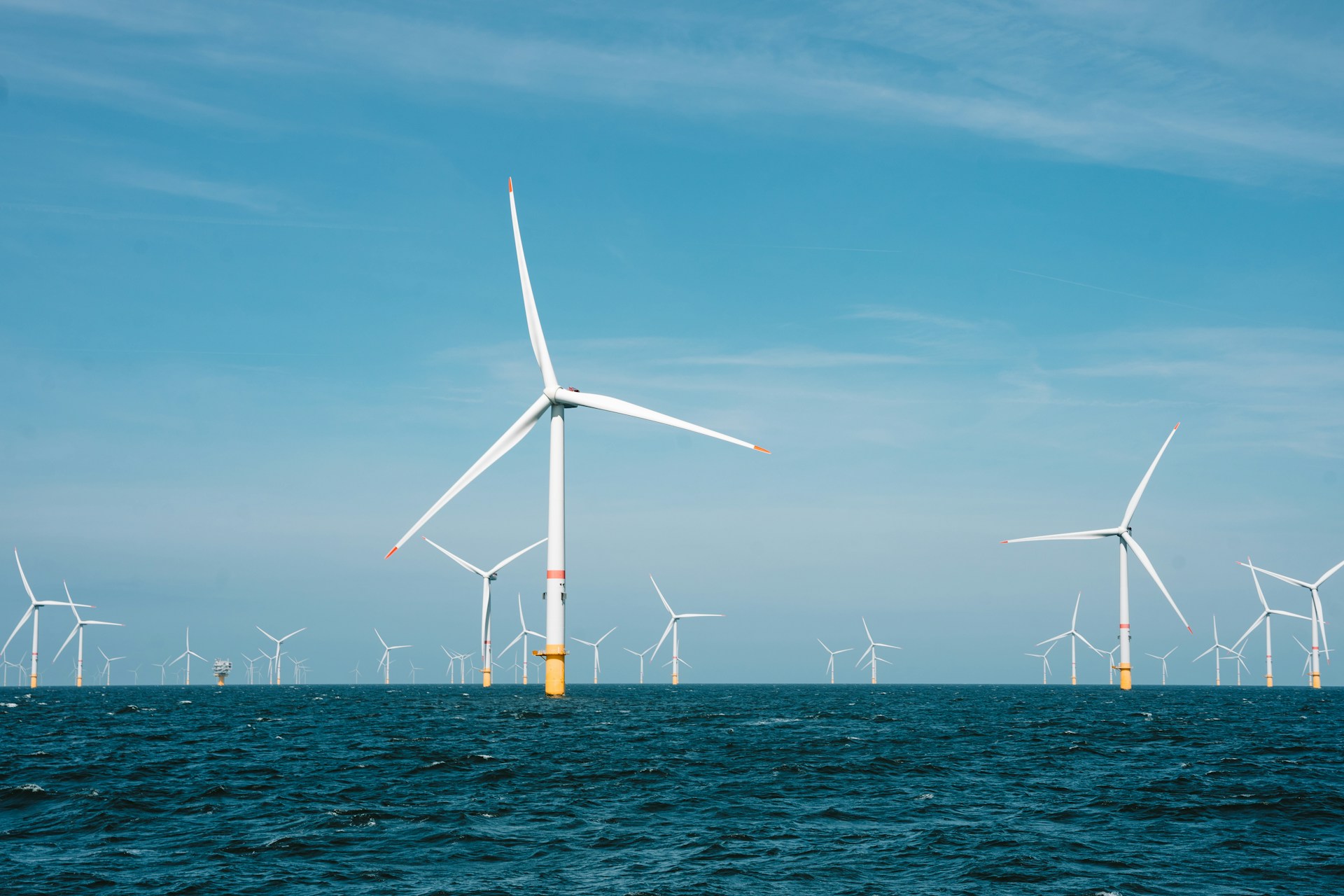 Enhance marine life with floating wind farm project