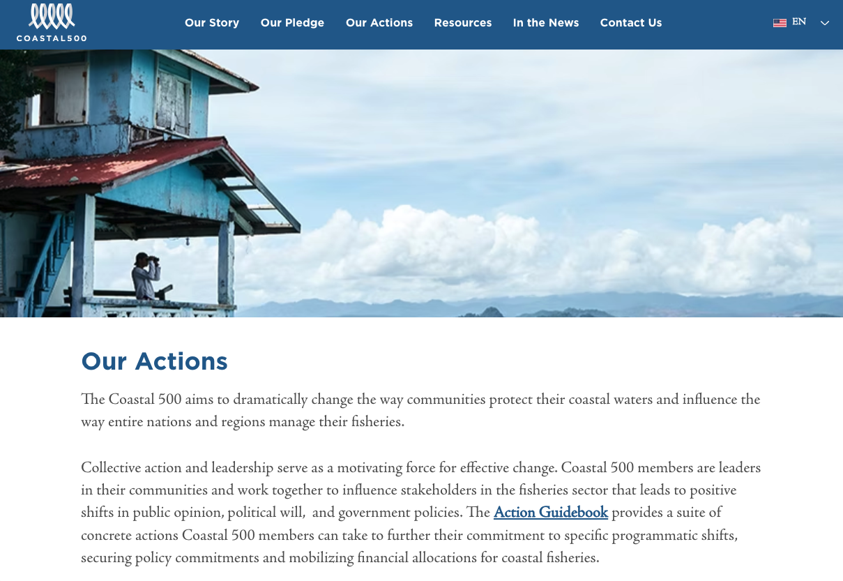 The Action Guidebook