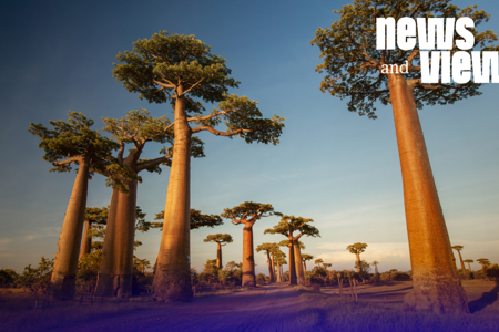 News & Views: Countdown to UNFCCC Climate Week 2 and the Second Africa Climate Summit