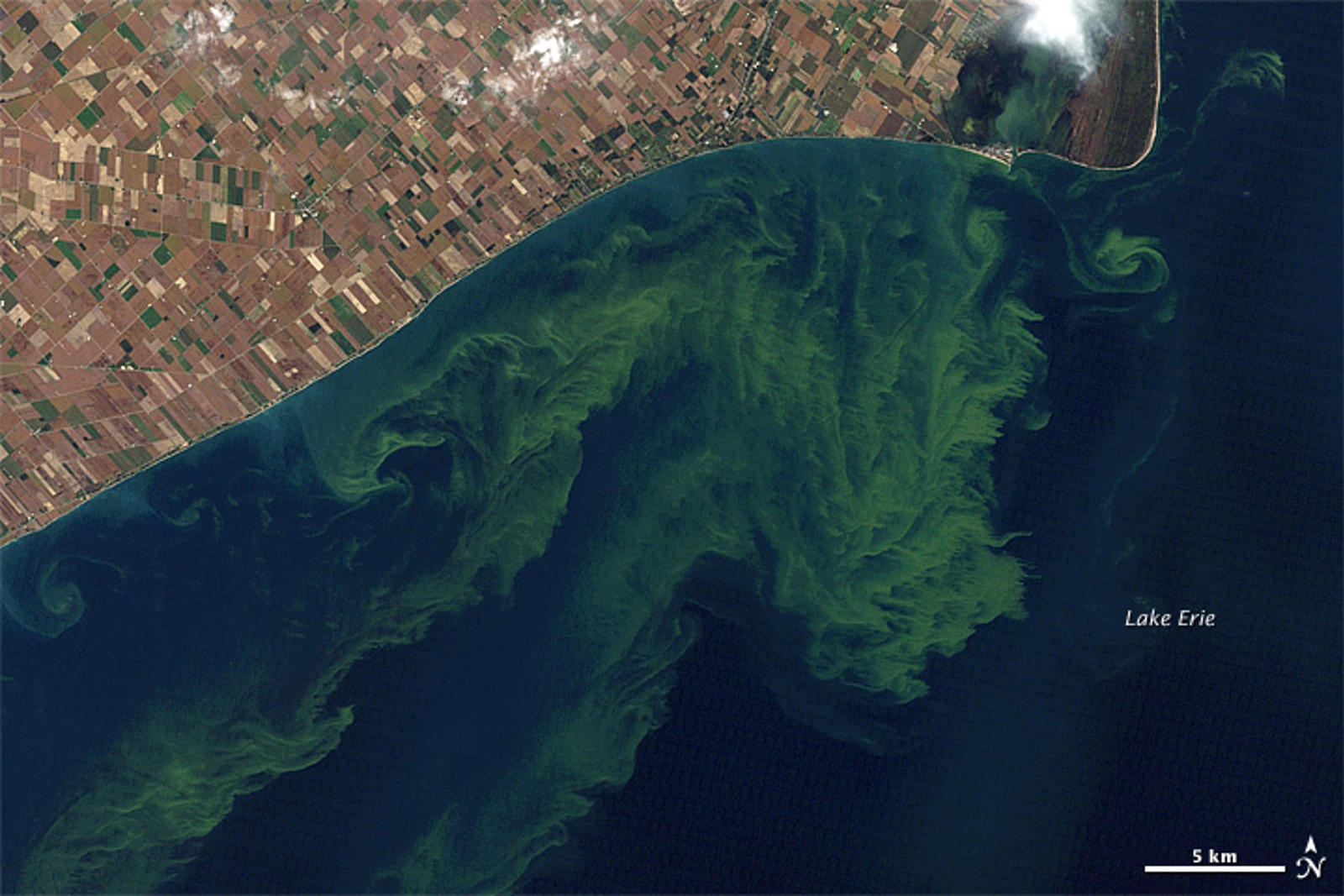Toxic Algae Bloom in Lake Erie. Image: Nasa. The general decline in ocean pH (more acidified conditions) from increasing concentrations of CO2 can exacerbate harmful algal blooms.