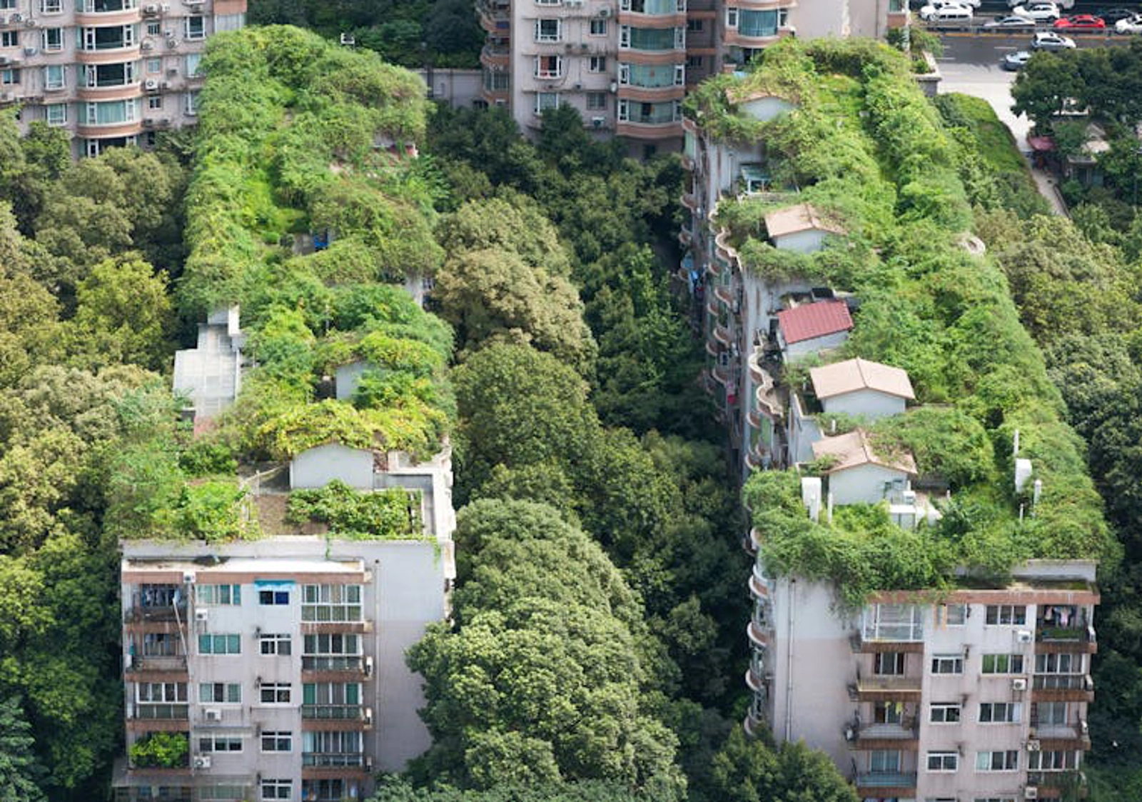 Greening cities isn’t a panacea for extreme heat. LP2 Studio/Shutterstock
