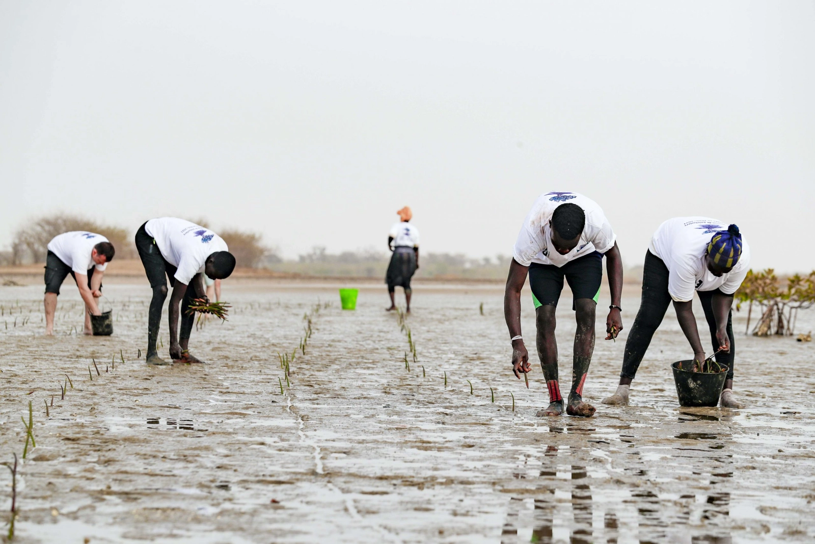 Lac Rose, Senegal: The Oceanium Mangrove Legacy Project Visit during the Ocean X-Prix at Lac Rose on May 26, 2021 in Lac Rose, Senegal. (Photo by Sam Bloxham / LAT Images)