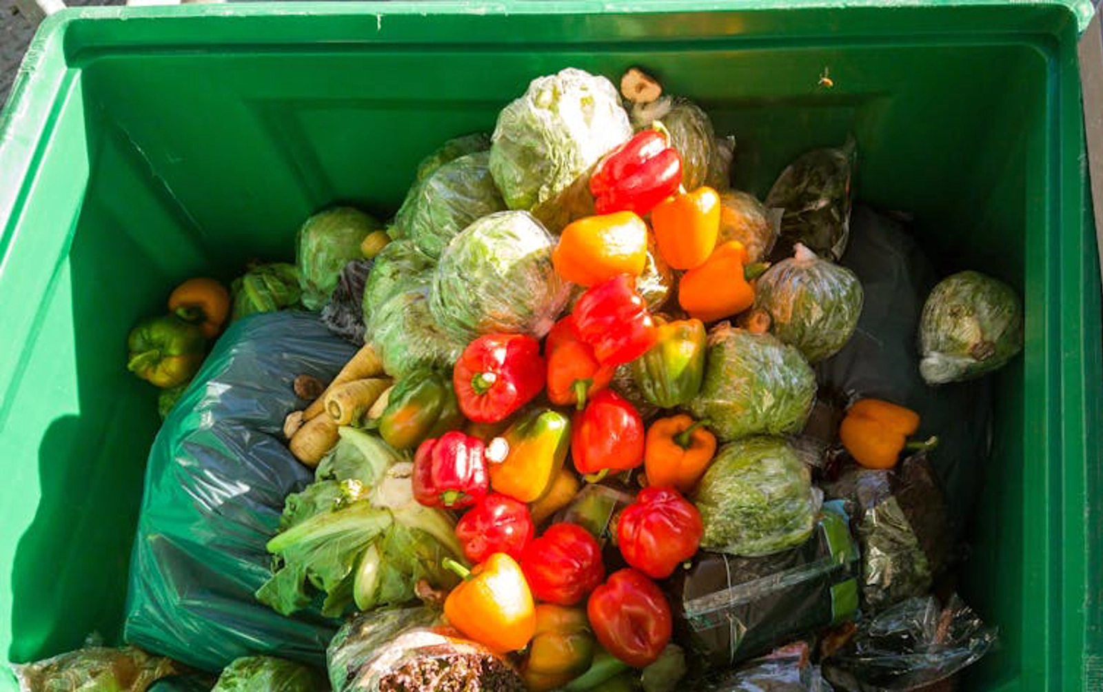 Supermarkets throw out massive amounts of ‘waste’ food every year.