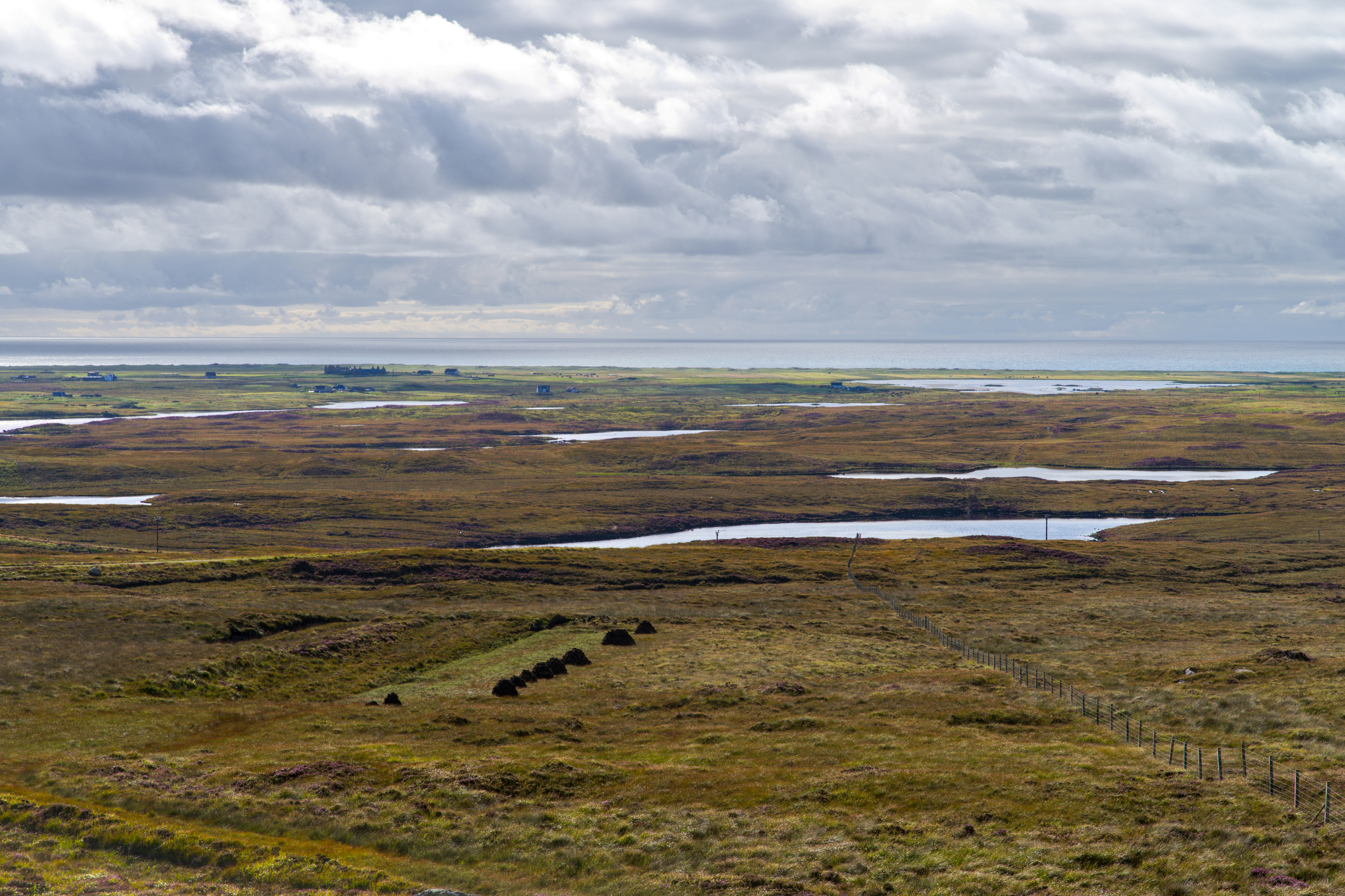 Wales exceeds its national peatland restoration target, restoring over 3,600 hectares of damaged peatland in just five years. 