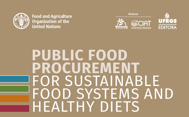 Public food procurement for sustainable food systems and healthy diets