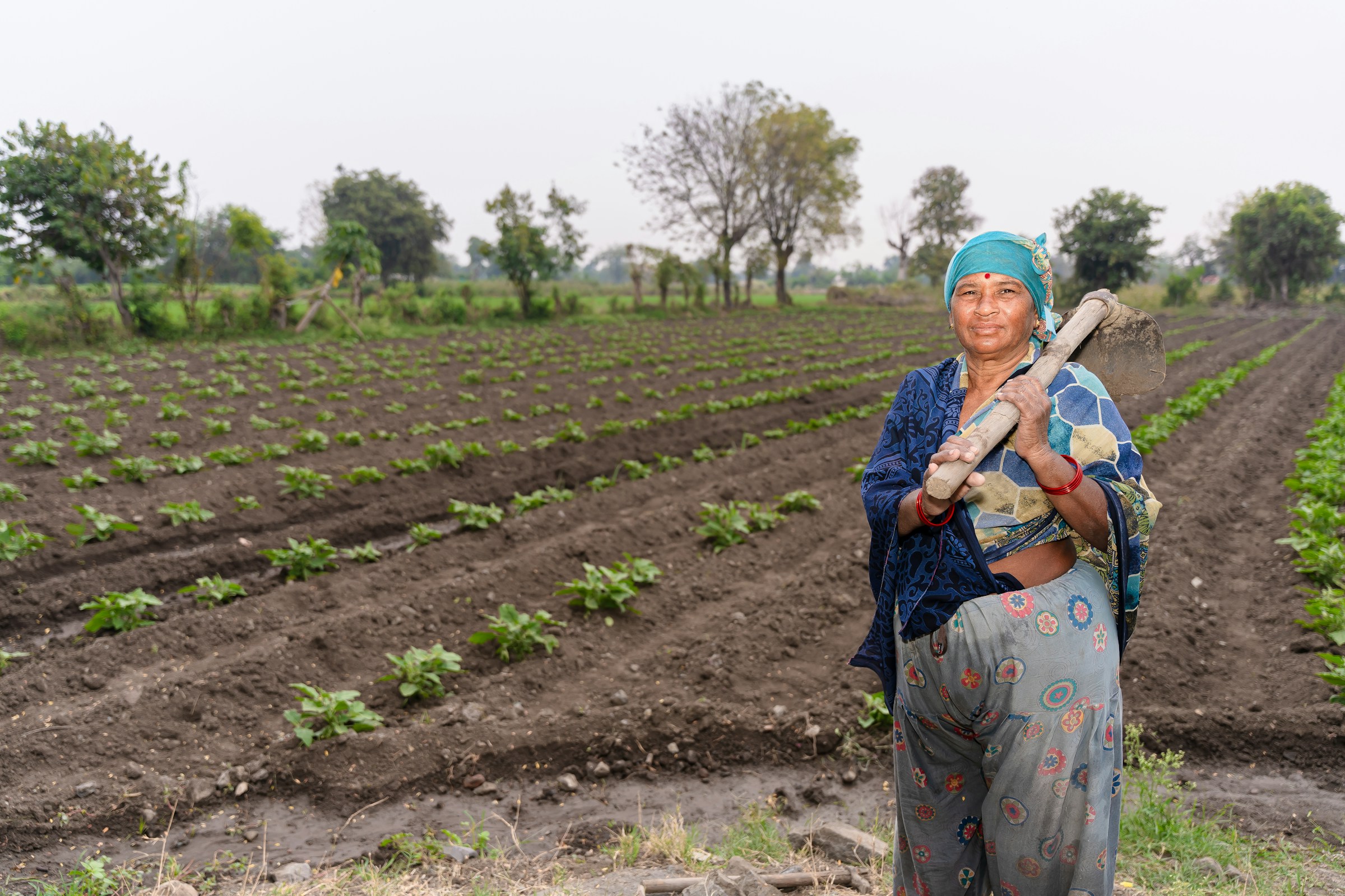 Transforming Agriculture and Food Systems