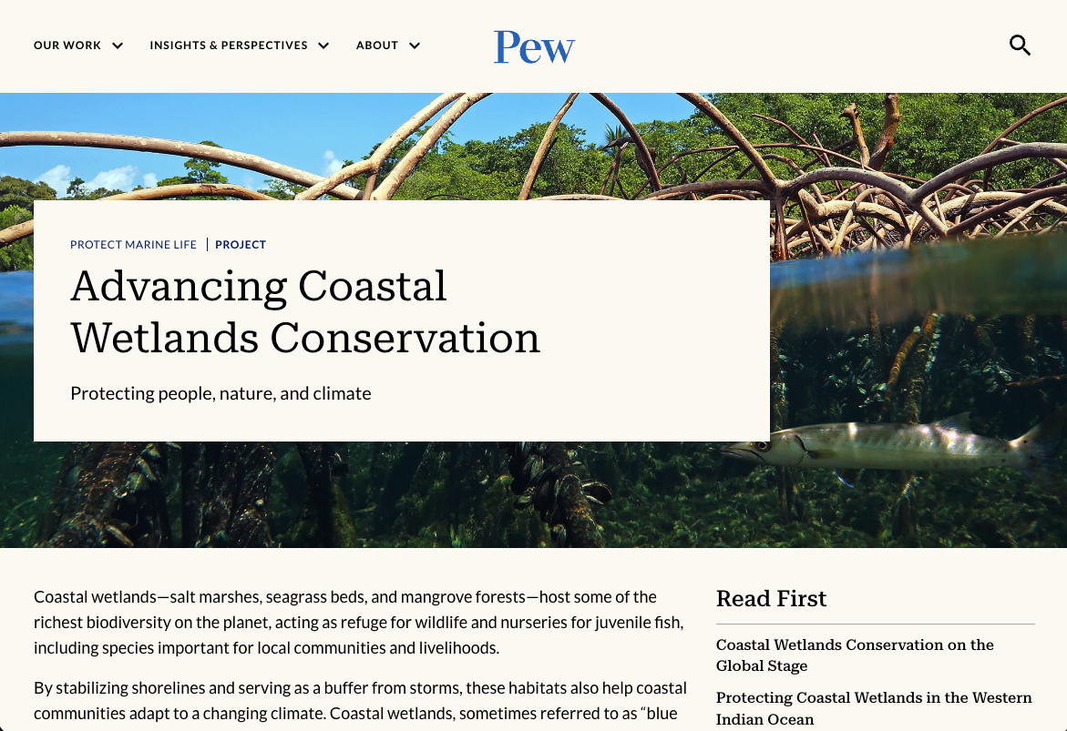 Advancing Coastal Wetlands Conservation