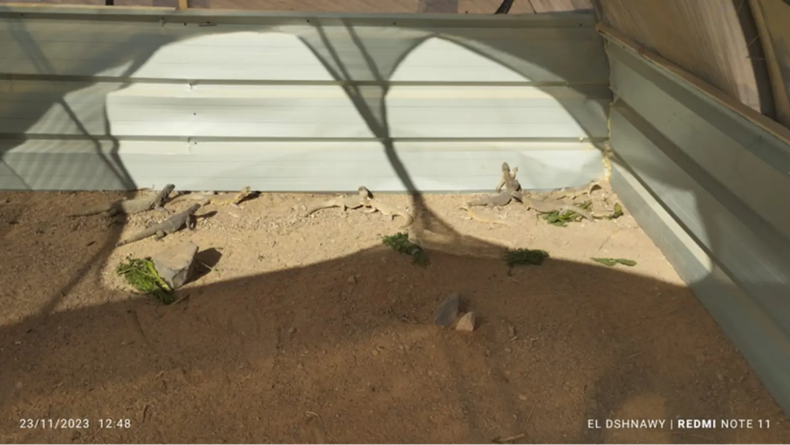 NCE team installing the keeping facility in AMUNET WindPower station