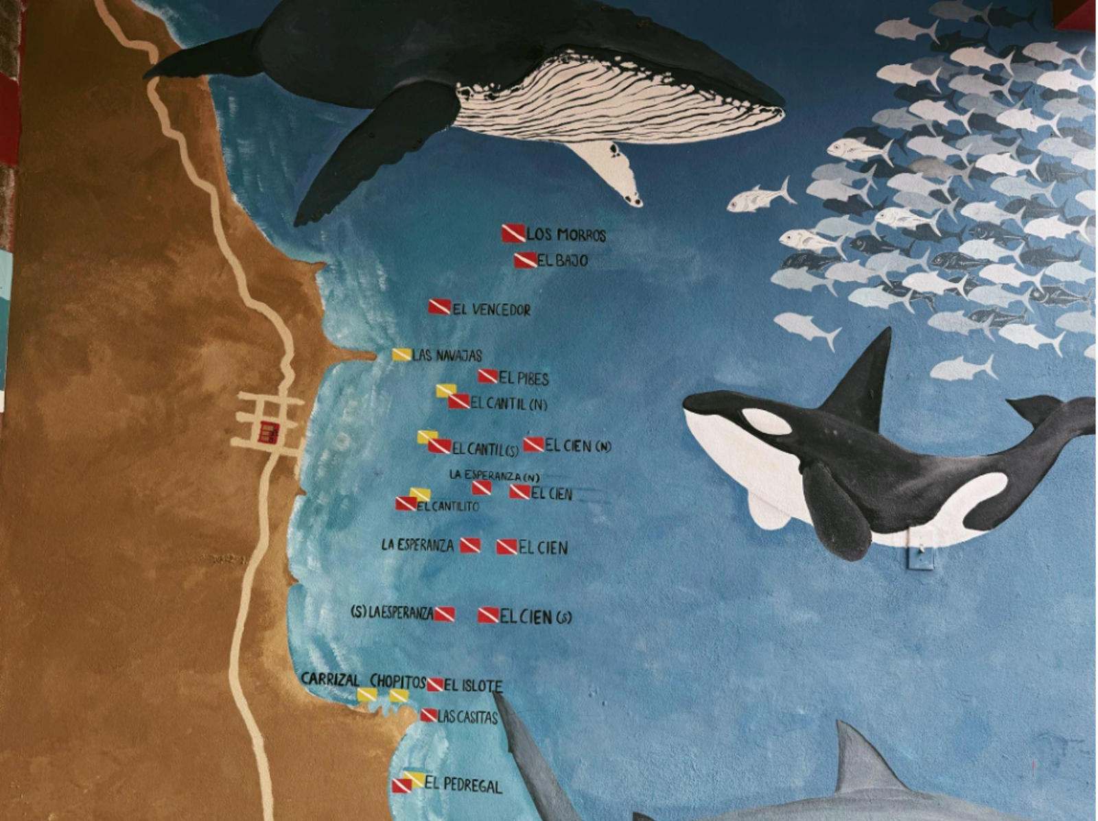 Famous dive sites of Cabo Pulmo. Photo Credit: Andi Cross