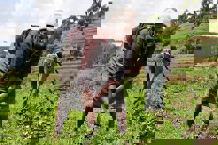 Race to Resilience in action: Strengthening climate resilience in Senegal through digital agricultural finance