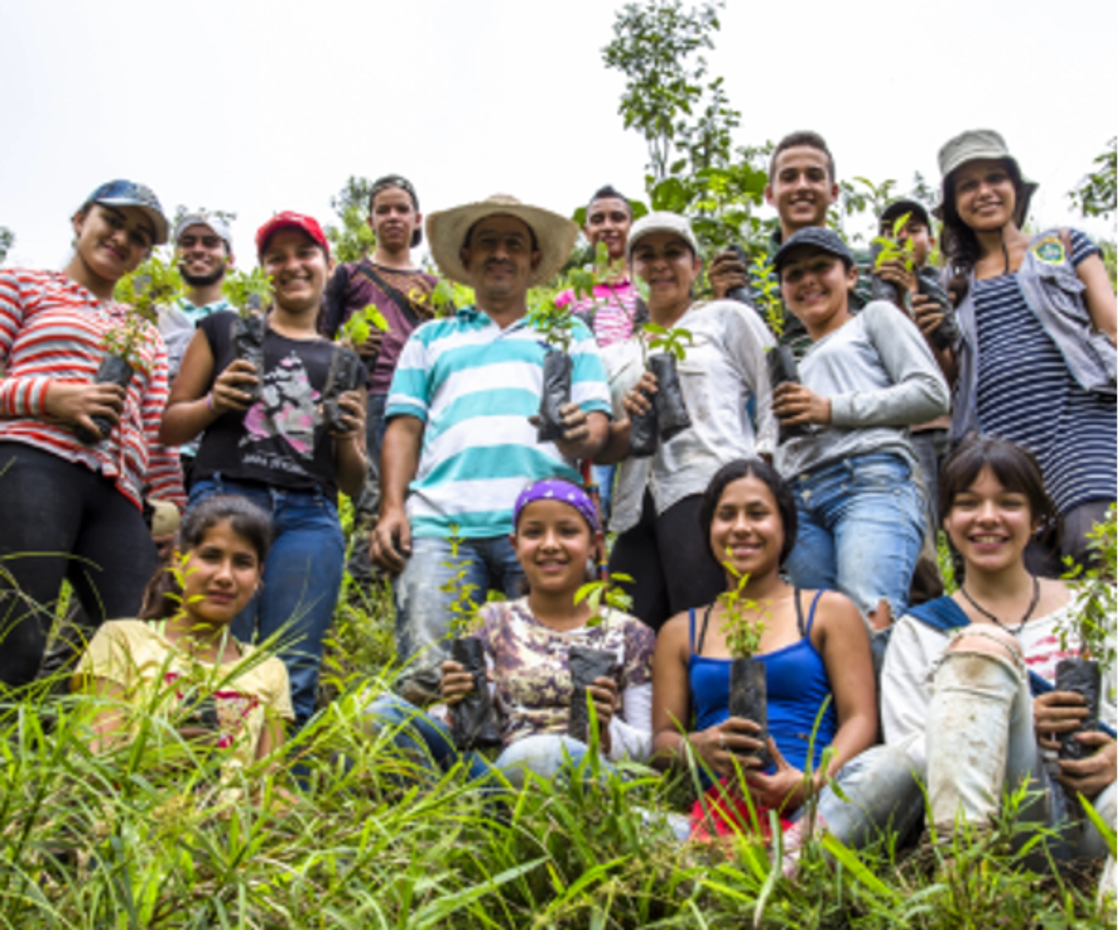 ReverdeC is a restoration investment program established by Colombian energy company, Celsia, with the goal of planting ten million trees by 2025.